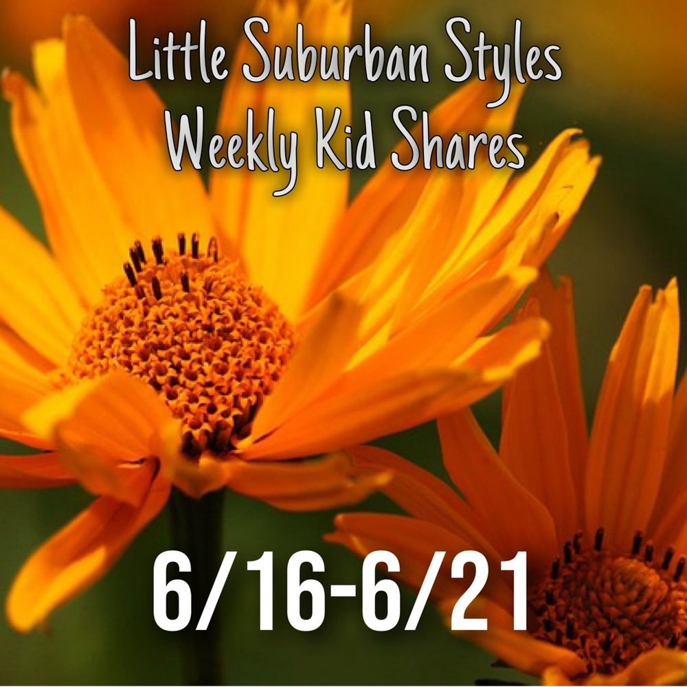 **CLOSED** Weekly Kids Shares Sign Outs